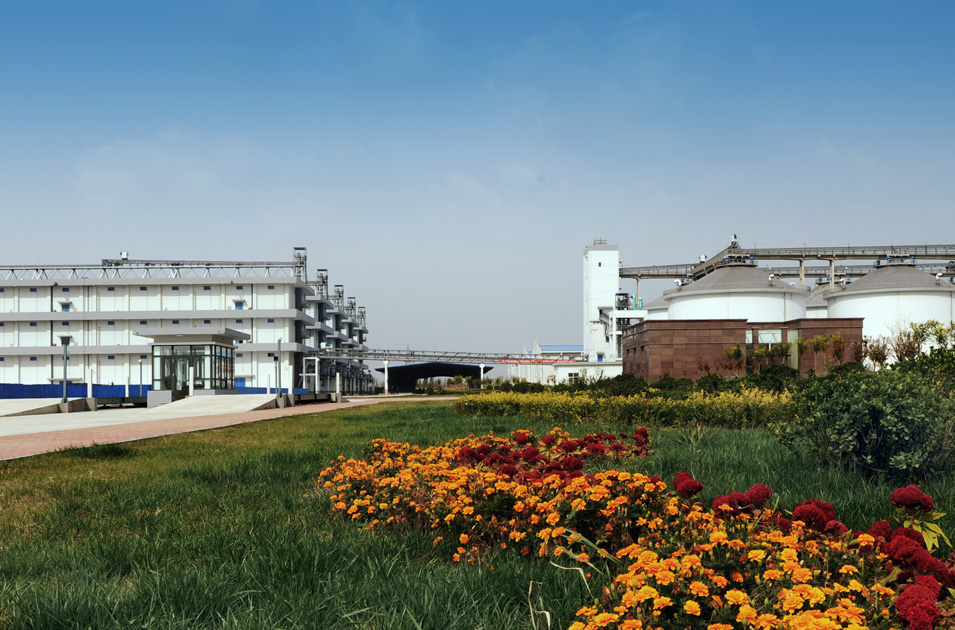 靜海利達(dá)糧庫